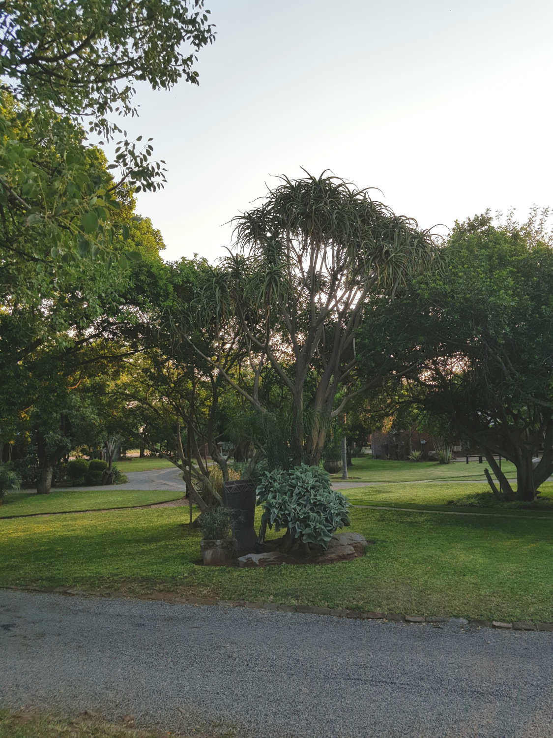 Baobab Chalets — Exterior & Grounds
