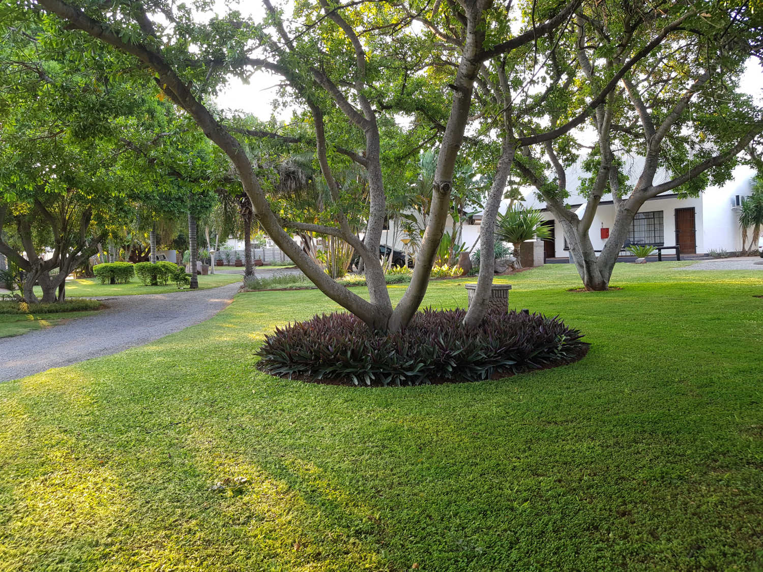 Baobab Chalets — Exterior & Grounds